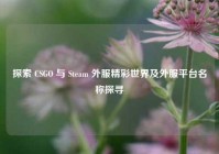 探索 CSGO 与 Steam 外服精彩世界及外服平台名称探寻