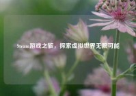 Steam游戏之旅，探索虚拟世界无限可能