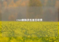 CSGO删除改名是否收费