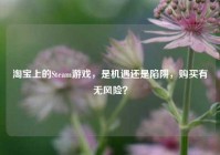淘宝上的Steam游戏，是机遇还是陷阱，购买有无风险？