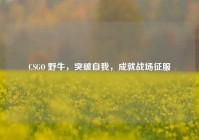 CSGO 野牛，突破自我，成就战场征服