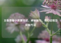 王者荣耀小狐狸传说，神秘魅力、奇幻征程及获取方法