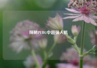 探秘PUBG中超强人机