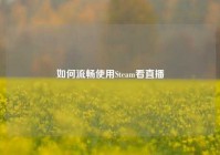 如何流畅使用Steam看直播