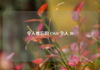 令人难忘的 CSGO 个人 ID