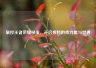 掌控王者荣耀权限，开启独特游戏力量与世界