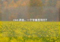 CSGO 改名，一个字是否可行？