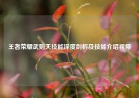 王者荣耀武则天技能深度剖析及技能介绍视频