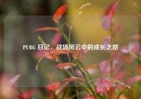 PUBG 日记，战场风云中的成长之路