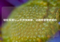 轻松实现Steam文件夹转移，让游戏管理更随心
