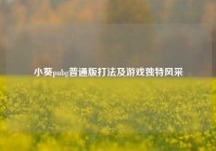 小葵pubg普通版打法及游戏独特风采