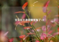 女友在王者荣耀竟有了 CP