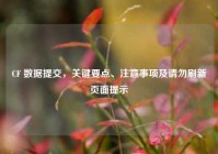 CF 数据提交，关键要点、注意事项及请勿刷新页面提示