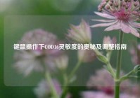 键鼠操作下COD16灵敏度的奥秘及调整指南