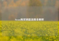 Steam购买钥匙流程全解析