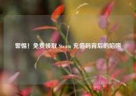 警惕！免费领取 Steam 充值码背后的陷阱