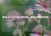 解决 CSGO 平台服卡顿问题，畅享流畅游戏体验