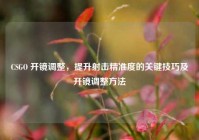 CSGO 开镜调整，提升射击精准度的关键技巧及开镜调整方法