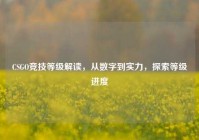 CSGO竞技等级解读，从数字到实力，探索等级进度