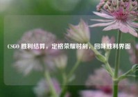 CSGO 胜利结算，定格荣耀时刻，回味胜利界面