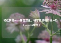 轻松实现Steam界面汉化，畅享更顺畅游戏体验（steam转中文）