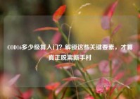 COD16多少级算入门？解锁这些关键要素，才算真正脱离新手村