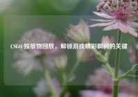CSGO 投放物回放，解锁游戏精彩瞬间的关键