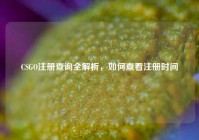 CSGO注册查询全解析，如何查看注册时间