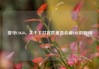 坚守CSGO，关于不打官匹是否会被VAC的疑问