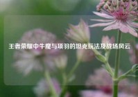 王者荣耀中牛魔与项羽的坦克玩法及战场风云
