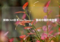 探秘CSGO选手Chloe与monesy，赛场巾帼的独特魅力
