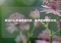 解决PUBG界面模糊问题，畅享清晰游戏体验
