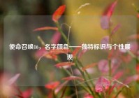 使命召唤16，名字颜色——独特标识与个性展现