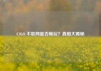 CSGO 不联网能否畅玩？真相大揭秘