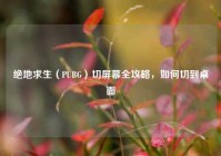 绝地求生（PUBG）切屏幕全攻略，如何切到桌面