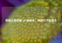 警惕王者荣耀 iOS 版脚本，风险与下载警示