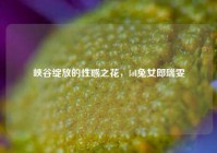 峡谷绽放的性感之花，lol兔女郎瑞雯