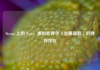 Steam 上的 Tom，虚拟世界中〈古墓丽影〉的独特存在