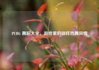 PUBG 舞蹈大全，游戏里的别样热舞风情