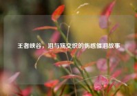 王者峡谷，泪与殇交织的伤感催泪故事