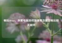 畅玩Steam，探索电脑游戏新境界及能否畅玩相关疑问