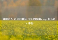 轻松进入 5E 平台畅玩 CSGO 的指南，csgo 怎么进 5e 平台