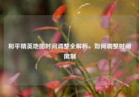 和平精英地图时间调整全解析，如何调整时间限制