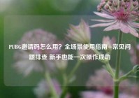 PUBG邀请码怎么用？全场景使用指南+常见问题排查 新手也能一次操作成功