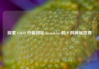 探索 CSGO 开箱网站 farmskins 的 F 网神秘世界