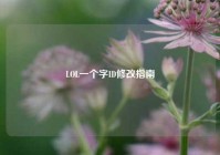 LOL一个字ID修改指南