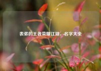 表弟的王者荣耀江湖，名字大全