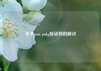 关于nxm pubg验证码的探讨