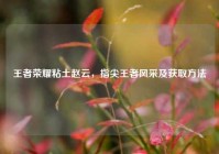 王者荣耀粘土赵云，指尖王者风采及获取方法