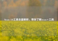 Steam 118工具全面解析，带你了解steam+工具